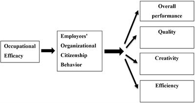 Organizational Citizenship Behavior Predicts Quality, Creativity, and Efficiency Performance: The Roles of Occupational and Collective Efficacies